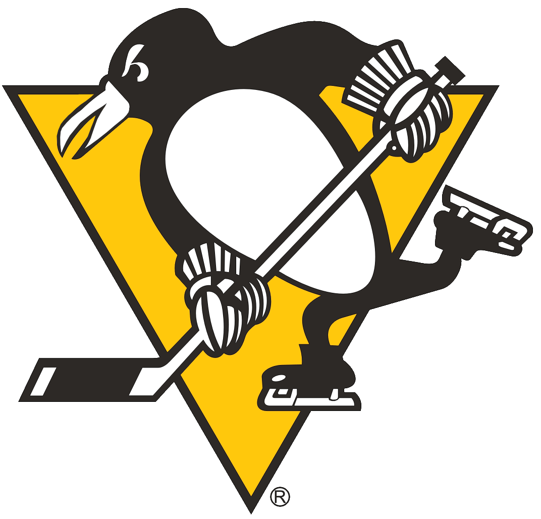 Pittsburgh Penguins 1972-1992 Primary Logo iron on transfers for fabric...